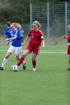 Bild 175 - F FSG Kaltenkirchen - SV Wahlstedt : Ergebnis: 6:1